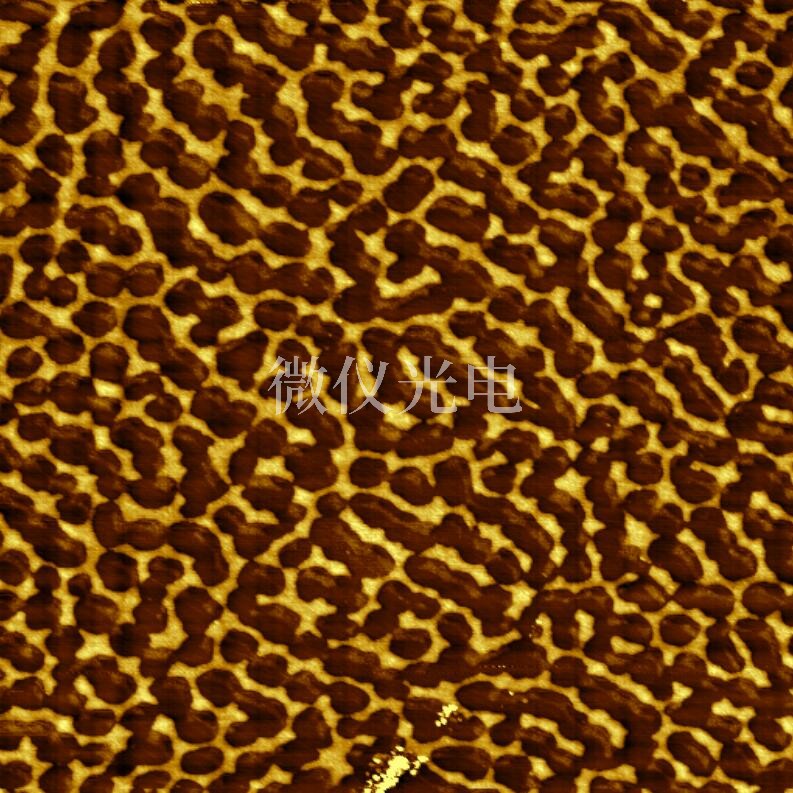 AFM原子力显微镜中文操作手册分享